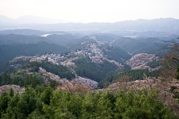 Yoshino, Kyōto, Ōgaki Vorschaubild